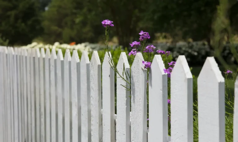 Affordable fence options